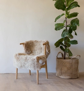 با گیاهان طبیعت را به داخل منزل بیاورید