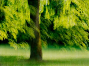 هنر در طراحی داخلی